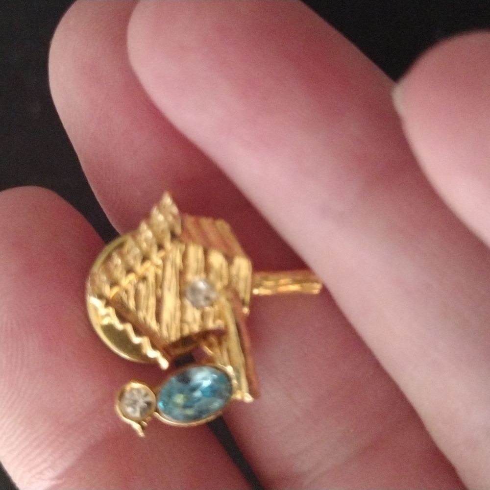 Bird w/ Blue & Clear Rhinestone in a Birdhouse Pin